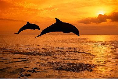 魂系动作RPG《艾诺提亚：失落之歌》steam页面开放